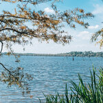 Black Bayou Lake_Robert Nance Park - lake